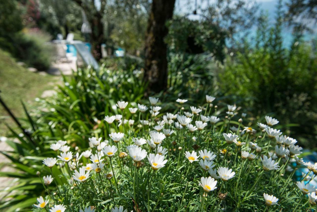 Villa Malcesine Buitenkant foto